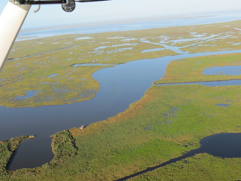Coastal wetlands from the air