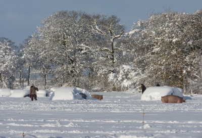 Snow Day! - Our children help out when School closed