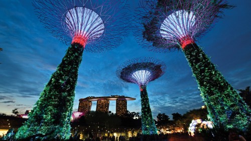 At Singapore’s Gardens by the Bay, a grove of Supertrees frames the iconic Marina Bay Sands, a luxury resort on the city’s Marina Bay. 